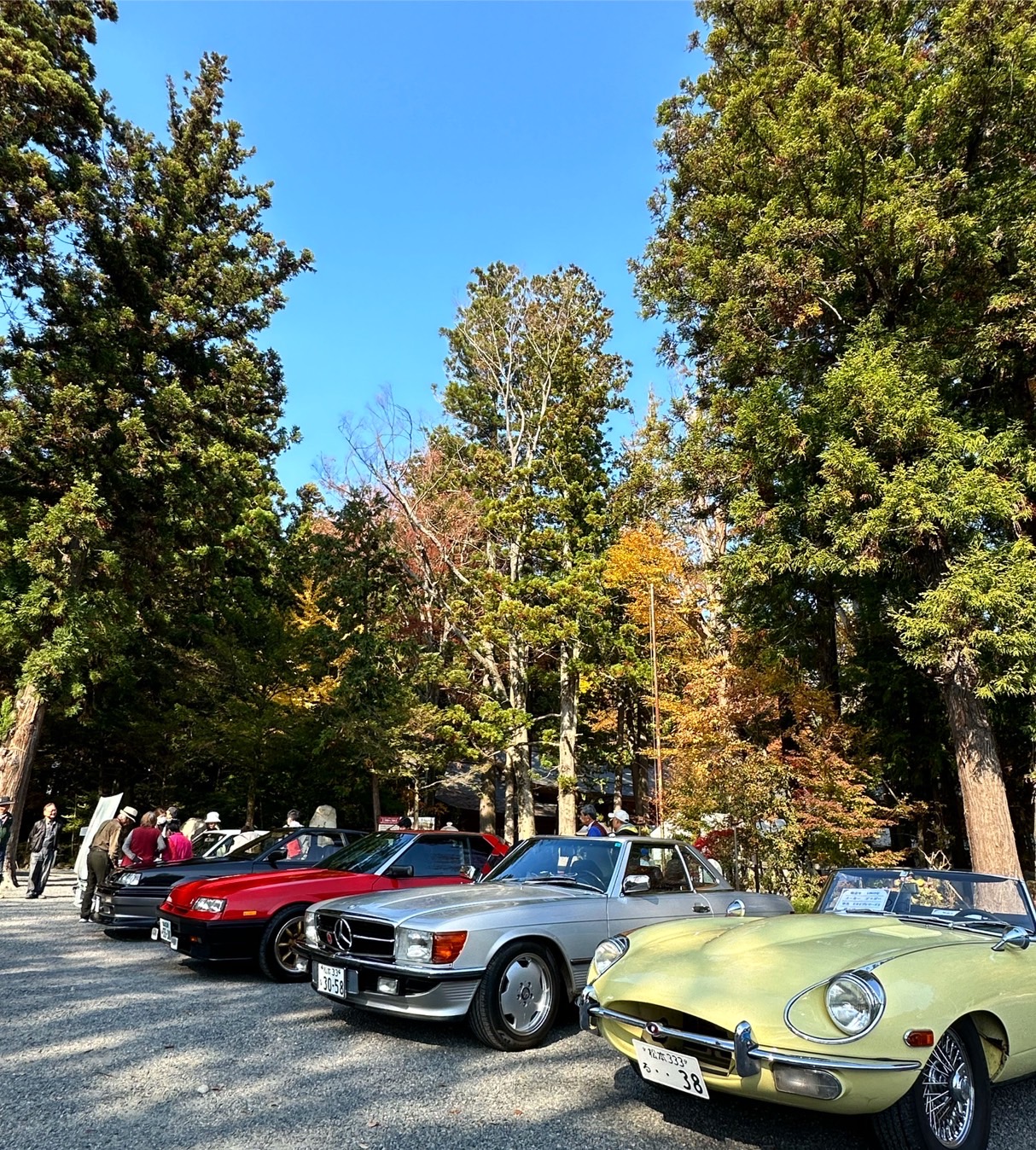 昭和の旧車展示会